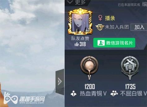辅助瞄准器和平精英该选择哪一个